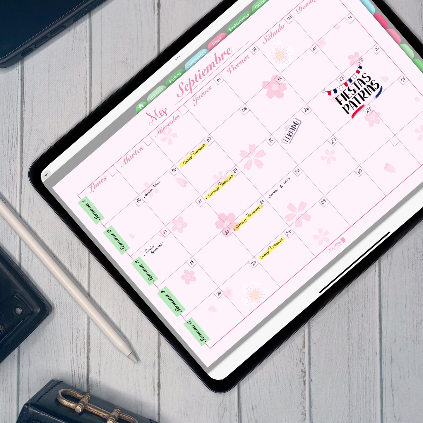 Planner Digital Anual | Docente | Rosa