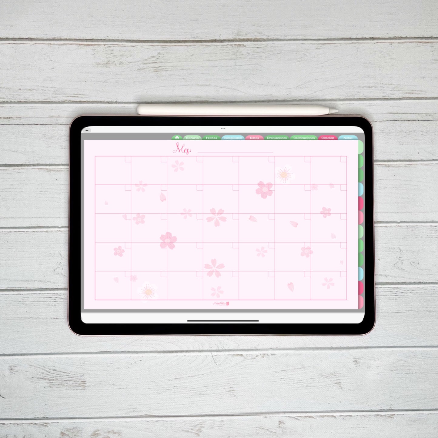 Planner Digital Anual | Docente | Rosa