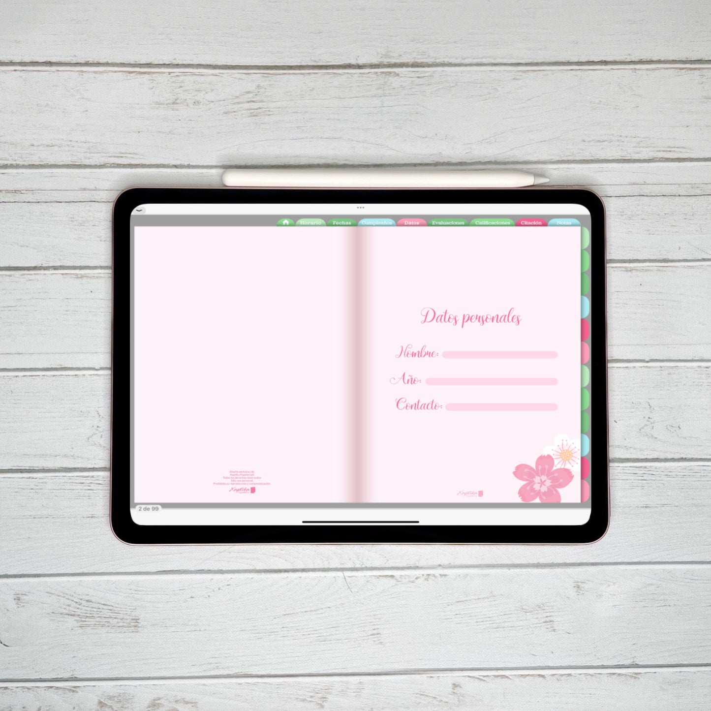 Planner Digital Anual | Docente | Rosa