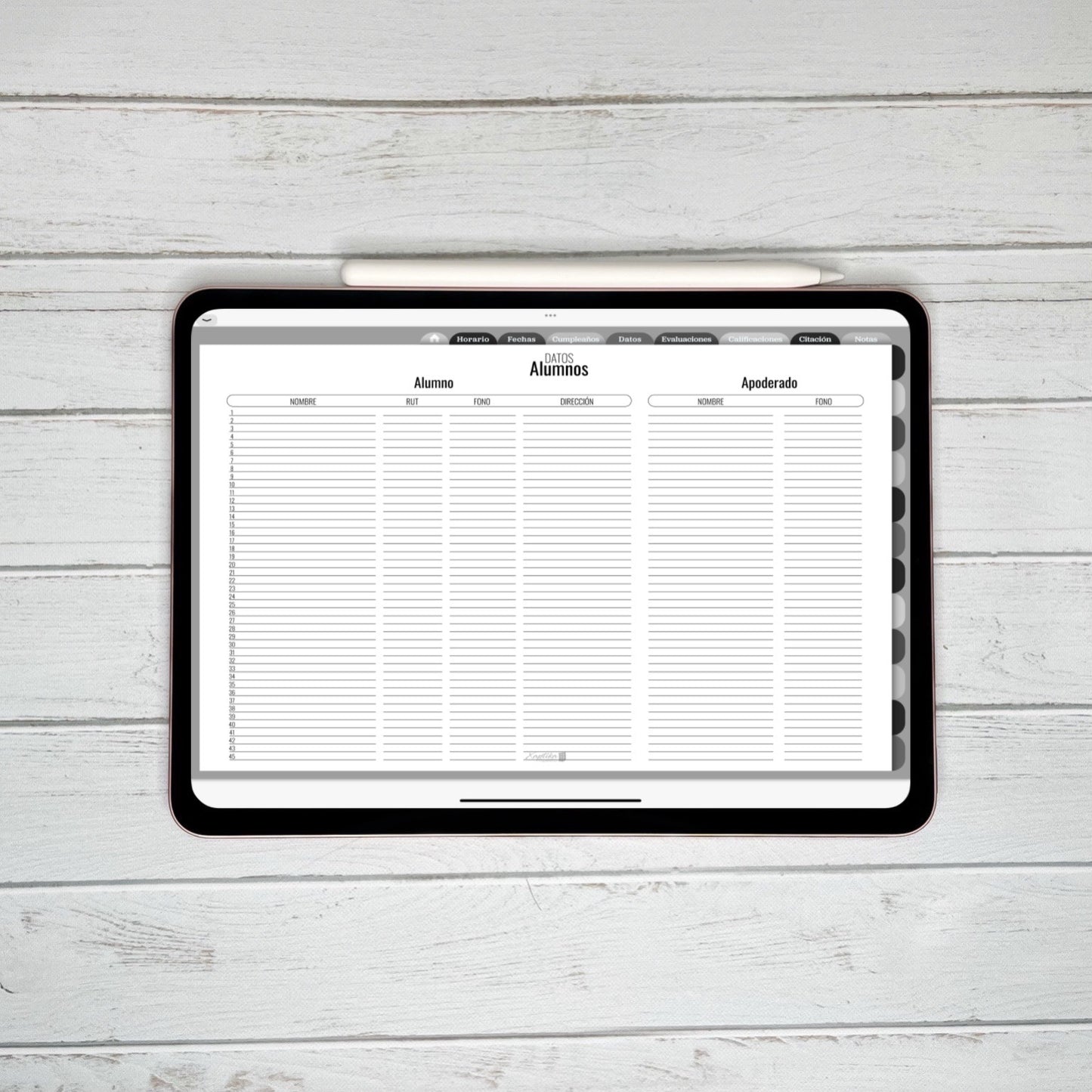 Planner Digital Anual | Docente | Black