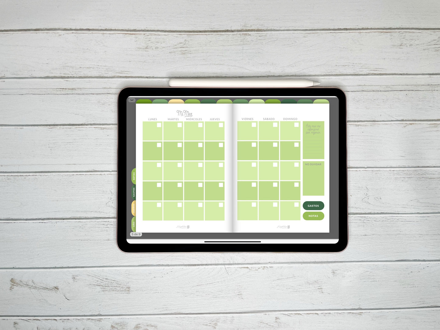 Planner Digital Anual | Monsteras