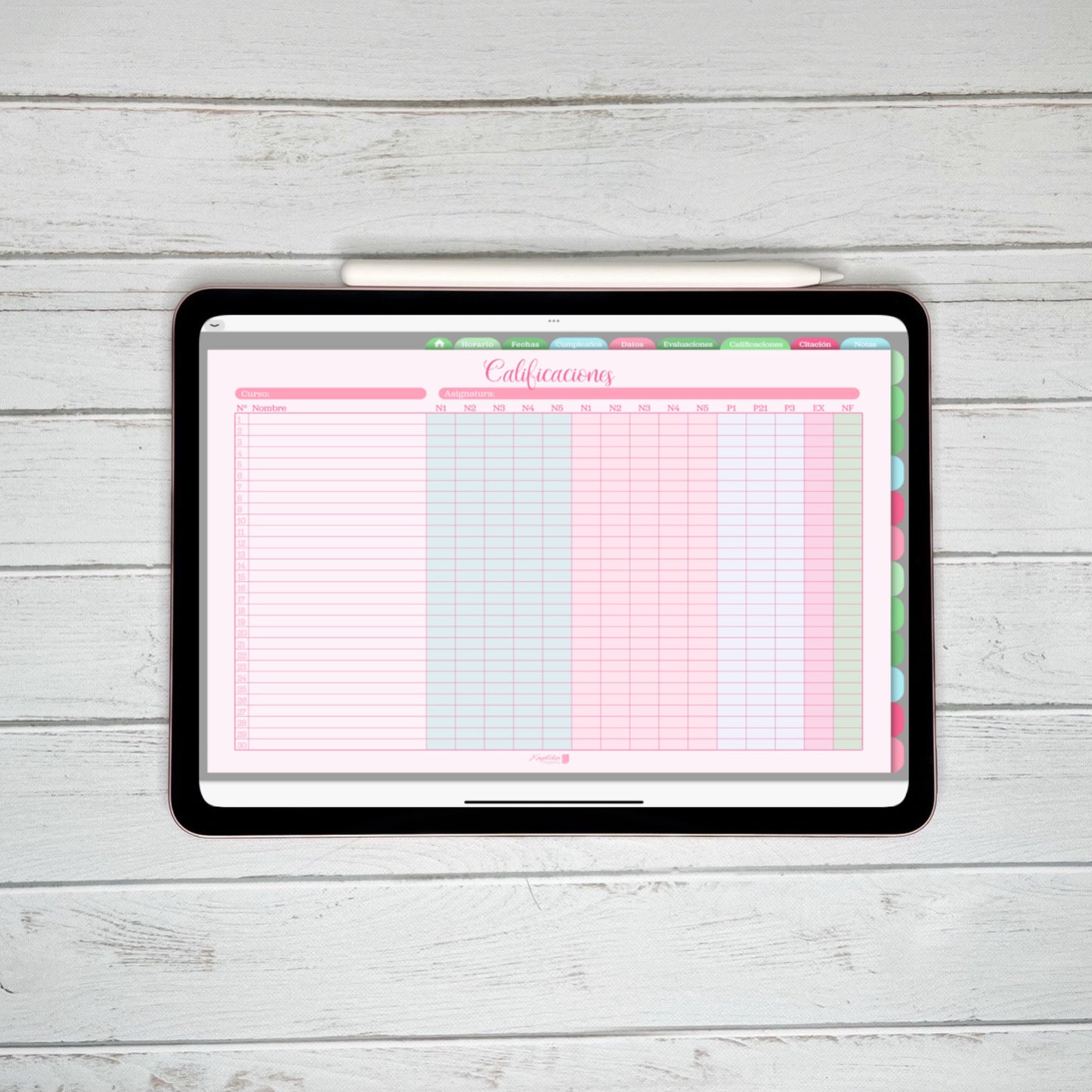 Planner Digital Anual | Docente | Rosa